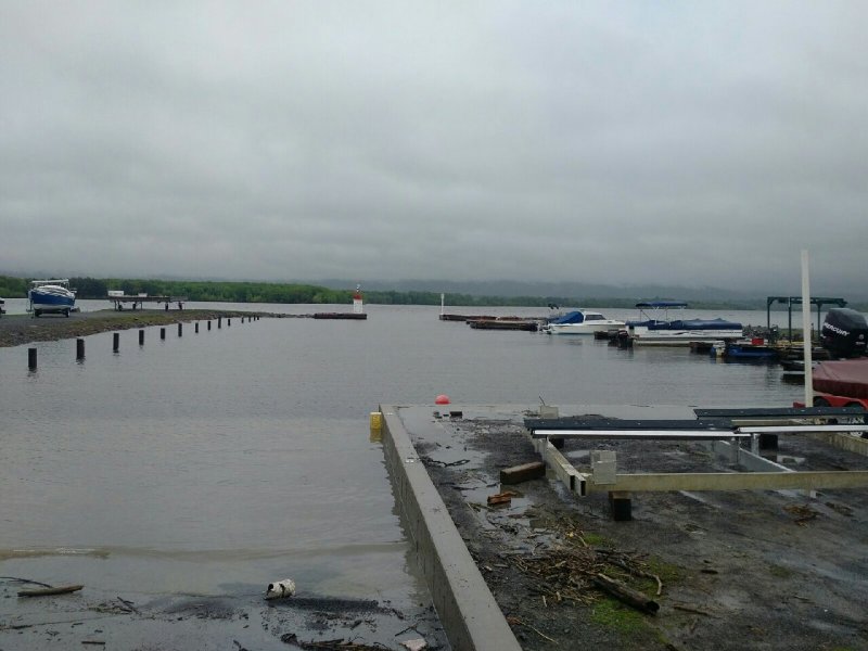 Our harbour - boats starting to go in